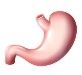 C:\Users\1\Downloads\Без названия (1).jpg